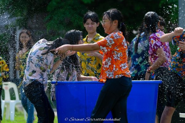 SPIP_A7_07191-044