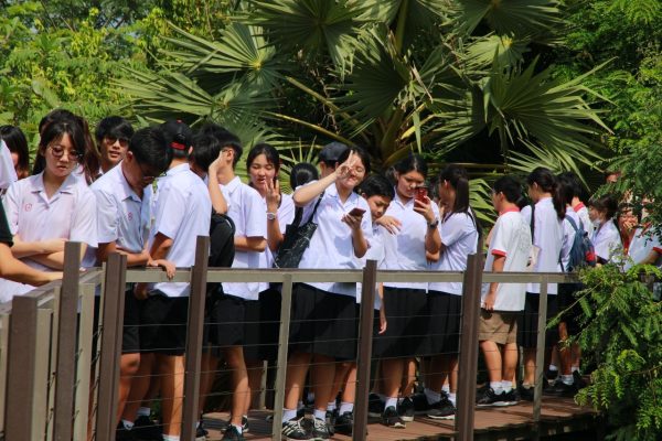 ป่ากลางกรุง Year 9_190531_0010