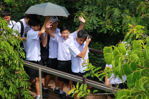 ป่ากลางกรุง Year 9_190531_0011