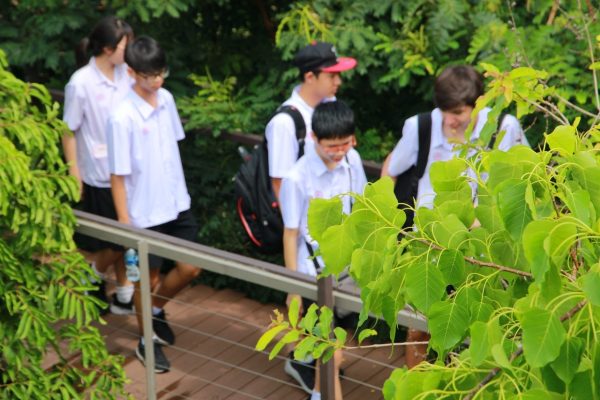 ป่ากลางกรุง Year 9_190531_0012