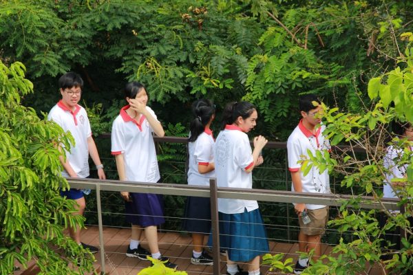 ป่ากลางกรุง Year 9_190531_0014