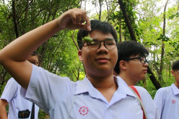 ป่ากลางกรุง Year 9_190531_0016