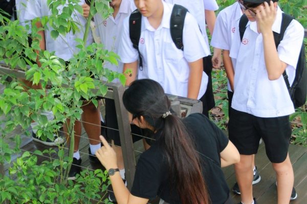 ป่ากลางกรุง Year 9_190531_0027