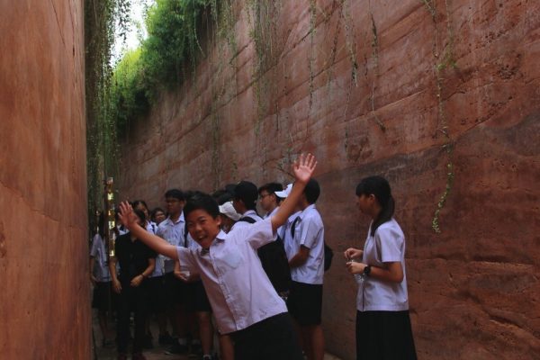 ป่ากลางกรุง Year 9_190531_0046