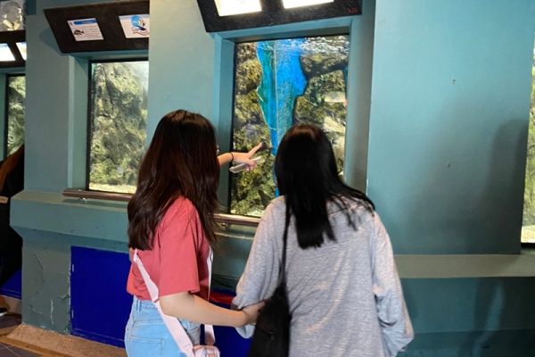 LINE_ALBUM_Y.102022-Rayong_220616_1