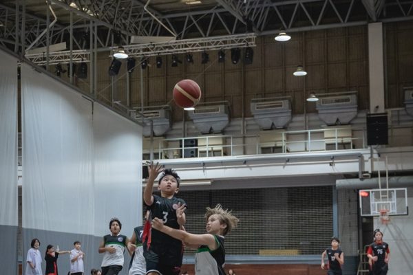 DSC00503