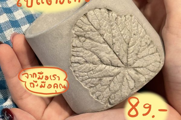 ใบแตงไทย(1)