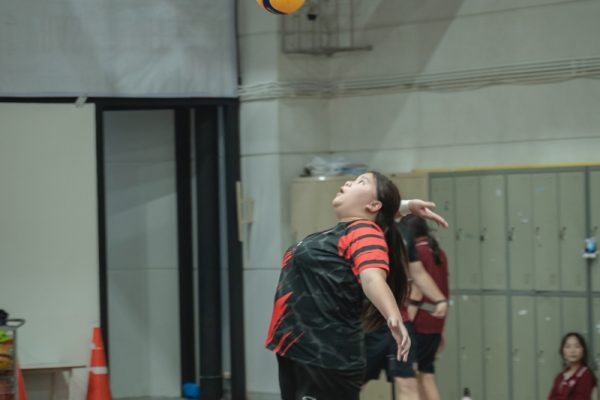 DSC08208
