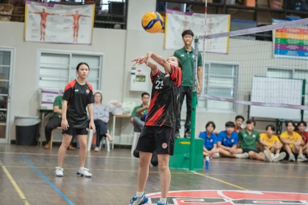 DSC07784