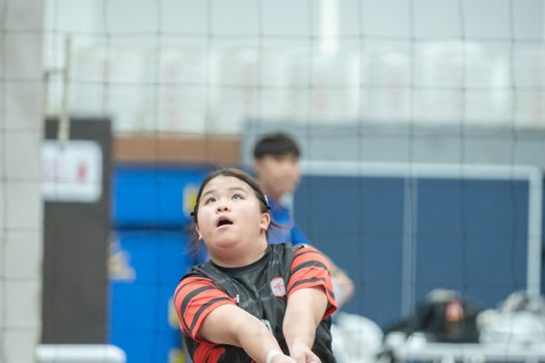 DSC08000