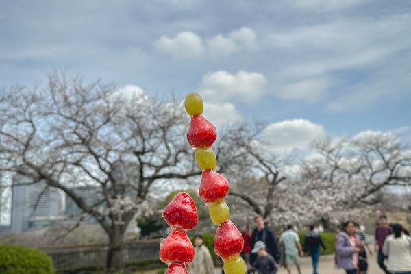 IMG_4101