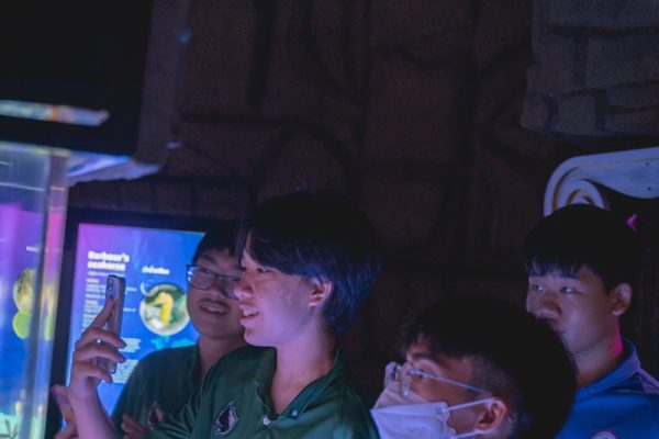 DSC09950
