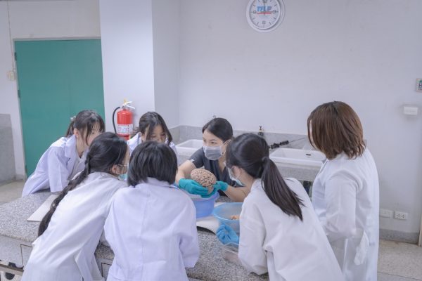 DSC04768