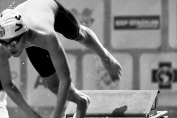 5A016097-81EE-4DEB-9B00-79FEFE89CEE5-649-0000014C6741CF94 - chartknc