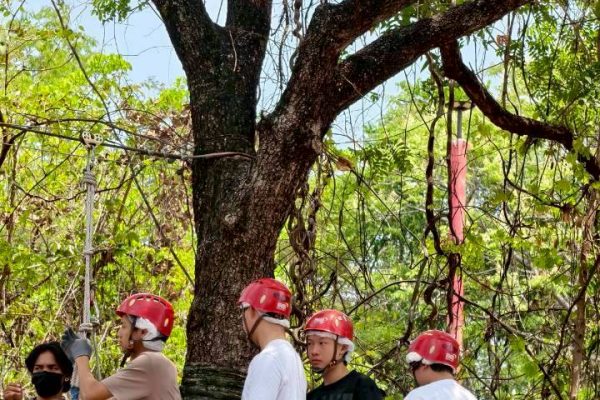 LINE_ALBUM_zip line_260404_16