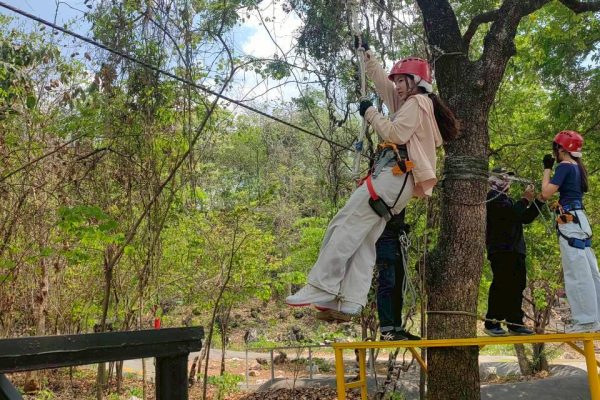 LINE_ALBUM_zip line_260404_53