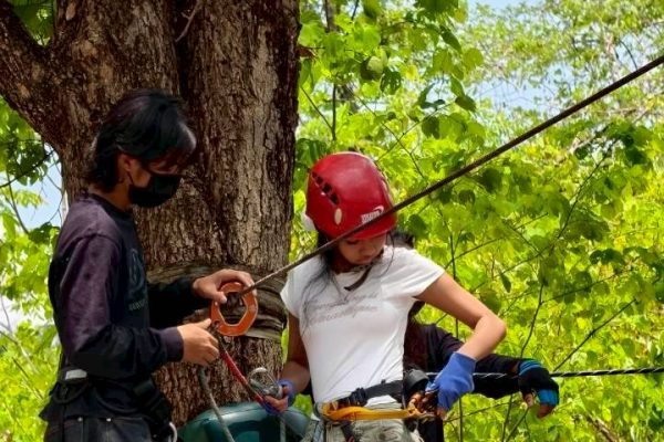 LINE_ALBUM_zip line_260404_9